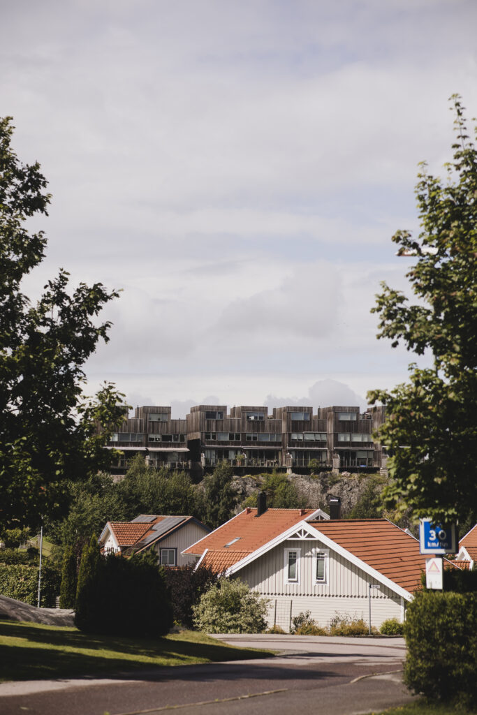 Bohushöjd